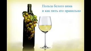 Польза белого вина и как его пить правильно