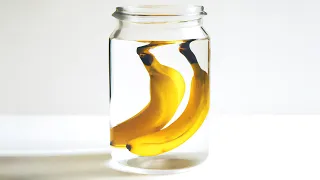 What if you left bananas in water for 230 days?