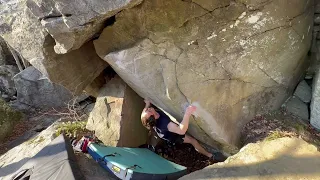 Wasabi (V5) - Great Barrington