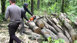 🌳Це найуспішніша модель STIHL 462C-M🌲