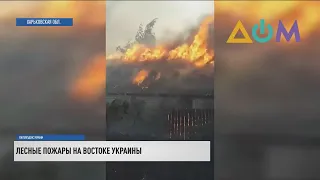 Пожары на востоке Украины: огонь охватил около тысячи гектаров леса