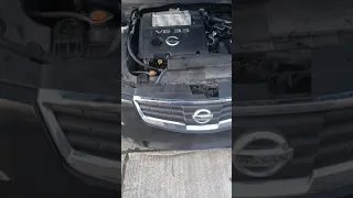 2008 Nissan Maxium Engine Knocking