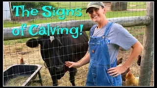 The Signs of CALVING~