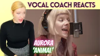 Vocal Coach Reacts: AURORA 'Animal' Live!