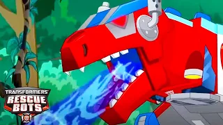 A Dinobots Instinct 🦖💥 | Transformers Rescue Bots | Transformers TV