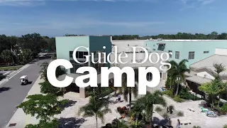 Guide Dog Camp