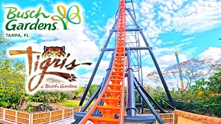 [4K] Tigris - Sky Rocket II Coaster | Front Seat POV | Busch Gardens Tampa Bay, FL | 02-09-2023