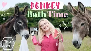 Donkey Bath Time | Spring Clean | AD | This Esme