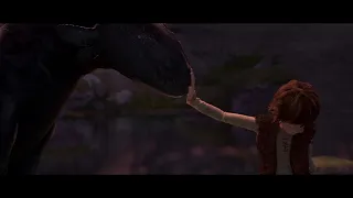 One Hell of a Team - HTTYD AMV