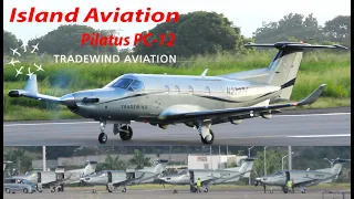 (4) Four !!!! Tradewind Aviation Pilatus PC-12 arrivals and departures @ St. Kitts Airport