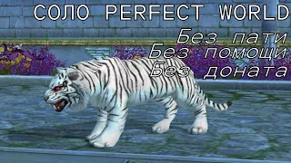 СОЛО ПВ # 10 / Соло Perfect World # 10
