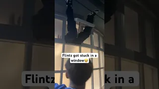 Flintz gets stuck in a window😂🫣 #funny #flintzandt4ylor #comedy