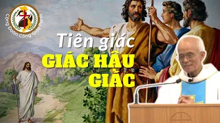 ✅ Nghệ thuật giới thiệu của Gioan tiền hô 🎙️ Cha Phạm Quang Hồng