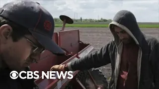 Russia's war in Ukraine amplifying global food insecurity, U.S. officials say