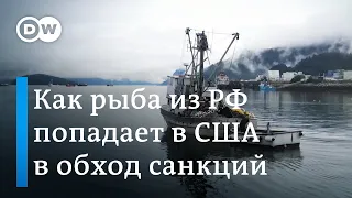 Как российская рыба попадает в США в обход санкций и какую роль на самом деле играет Китай