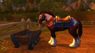 Project Ascension | Stormwind Riding Traning and First Mount Location | Ascension WoW Guide