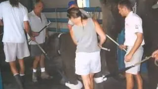 Ringling Bros   Elephant Child Abusers Breaking A Baby Elephant   YouTube