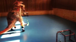 T-Rex trick shot