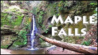 HowToFind Maple Falls- Nisene Marks State Park