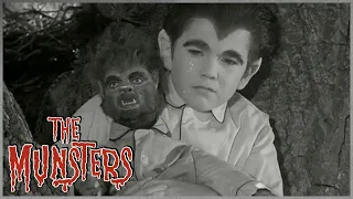 Eddie Disappears! | The Munsters