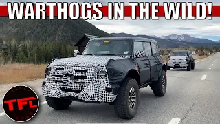 We Just Caught Ford Testing The BADDEST Bronco Of Them All: The New Warthog!