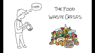 The Global Food Waste Crisis and The Danish Solution