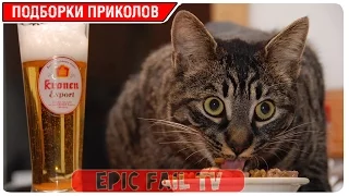 Подборка приколов за Март 2016 (+18) #48 A selection of jokes for March 2016