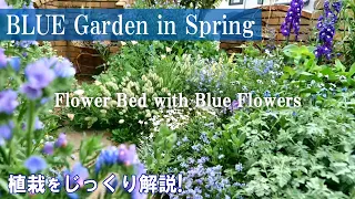 【ブルーガーデン】植栽の詳細*印象が強くなる青い花＆アクセントカラーの効果/ガーデニング
