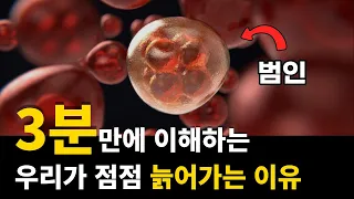 초등학생도 이해하는 노화가 진행되는 이유