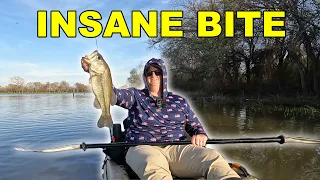 Amazing Day of Spring Bass Fishing from the Kayak! (Fort Worth, Texas)