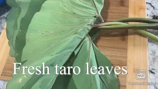 How to cook /laing/fresh TARO LEAVES Super Yummy