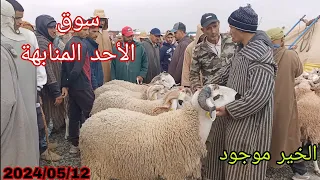 مباشرة من سوق الأحد المنابهة إقليم مراكش مع حولي عيد الاضحى بتاريخ 2024/05/12