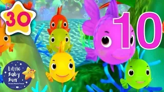 Counting Fish | +30 Minutes of Nursery Rhymes | Learn With LBB | #howto