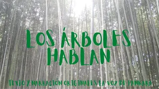 LOS ÁRBOLES HABLAN
