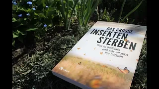 Nachgefragt! Das große Insektensterben