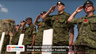 The Importance of Remembering With ‘The Poppy Campaign’ | TLN Connects