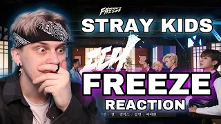 Stray Kids  -  FREEZE  | РЕАКЦИЯ
