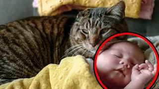 Baby schläft mit seiner Katze ein, aber dann passiert etwas Seltsames