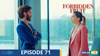 Forbidden Fruit Episode 71 | FULL EPISODE | TAGALOG DUB | Turkish Drama