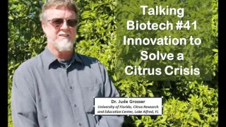 Talking Biotech 041 -- Innovations to Beat Citrus Disease