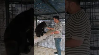 Feeding to Dangerous Bear | Nouman Hassan |