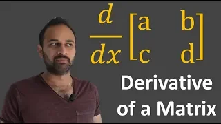 Derivative of a Matrix : Data Science Basics