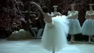 Carla Fracci & Erik Bruhn in  Giselle    Dance&Ballet by Nermana Kozlić