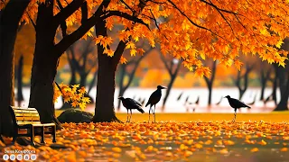 Шалунья осень 🍁 Сборник ЛУЧШИХ Мелодий от которых мурашки по телу! Самая красивая мелодия в мире