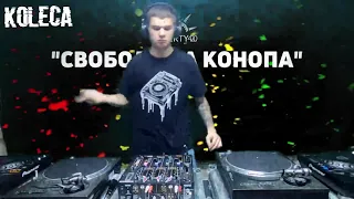 Koleca (Miguel DnB) - Свобода за конопа - 420 stream