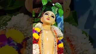 🌺🥀এসো দুটি ভাই গৌর নিতাই🙏🙏