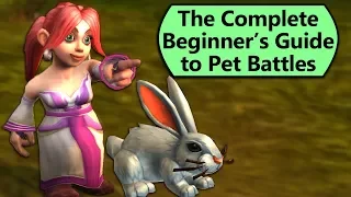 How to Get Started with Pet Battles From Scratch