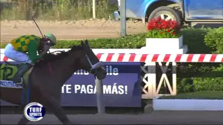 GRAN PREMIO ST LEGER CARRERA Y NOTAS