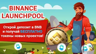 Binance Launchpool. Как получать пассивный доход от хранения криптовалют. Фарминг. Стейкинг.