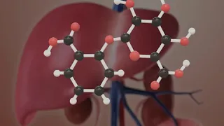 Aspirin Journey Through The Body (Animated)